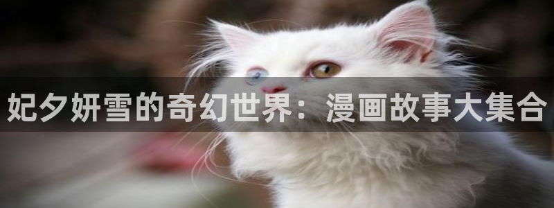 一念永恒漫画免费奇漫屋